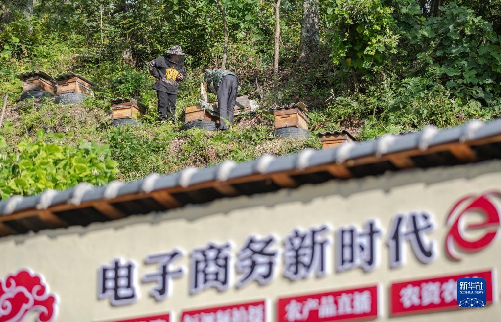 免费的捕鱼游戏